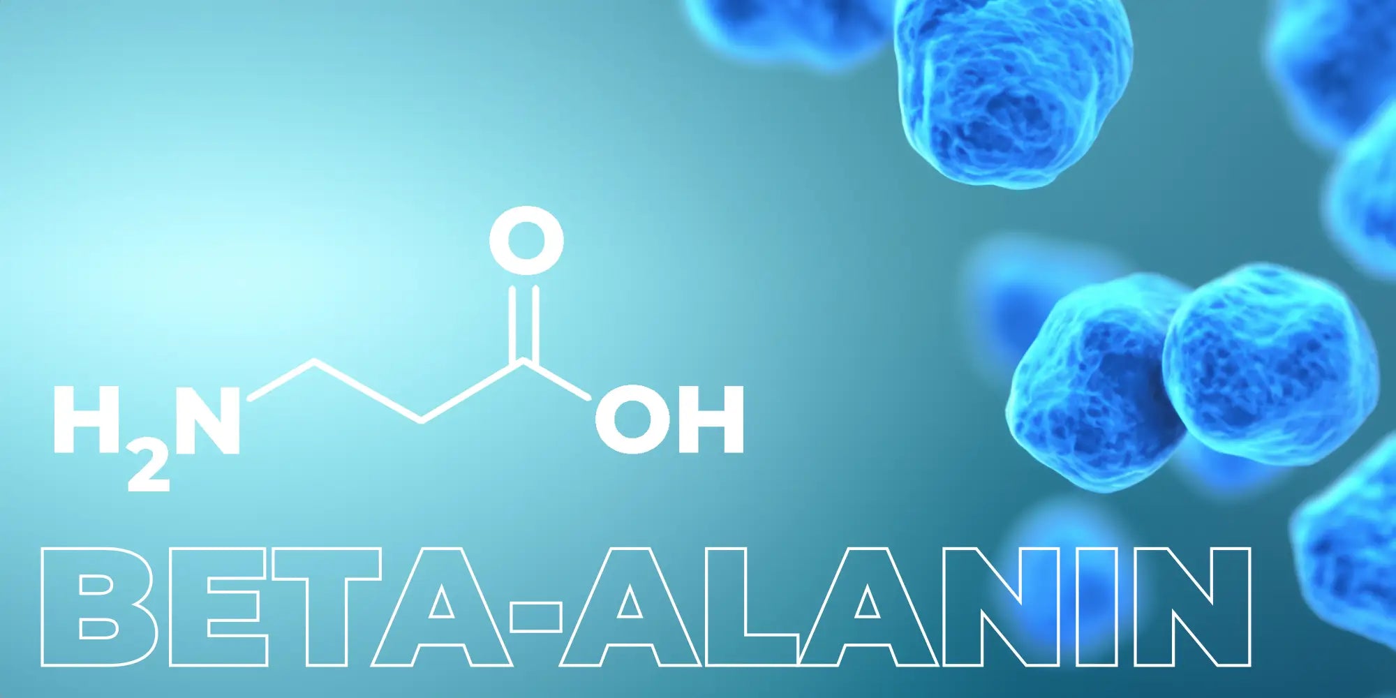 Beta-Alanin im Pre-Workout: Nur Kribbeln oder bringt es wirklich etwas?